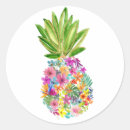 Search for pineapple stickers Watercolor