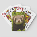Search for ferret gifts Animal