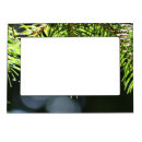 Search for forest green picture frames Nature