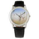 Search for beach watches Animal