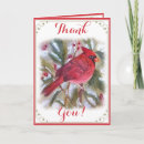 Search for cardinal cards Red cardinal bird