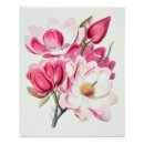 Search for magnolia posters Botanical