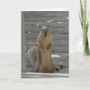 Search for keeping in touch cards Photography