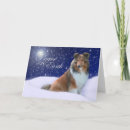Search for sheltie christmas cards Collie