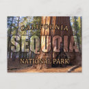 Search for sequoia national park postcards Tree