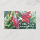 Search for daylily Photography