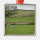 Search for amish ornaments Horse