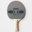 Search for 7 swans a swimming gifts Nature