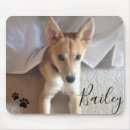 Search for pet photo gifts Dog mom