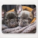 Search for bulldog mousepads Pet