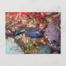 Search for scuba diving gifts Coral