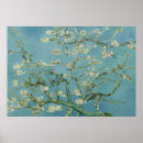Search for almond blossom by vincent van gogh posters Famous artist