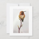 Search for hummingbird thank you cards Gold