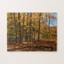 Search for fall foliage puzzles Water