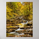 Search for great smoky mountains national park posters North carolina
