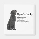 Search for black lab magnets Retriever