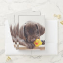 Search for puppy folders Cute
