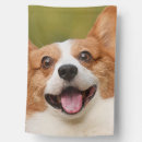 Search for dogs outdoor signs Add dog photo