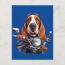 Search for funny motorcycle birthday cards Cute