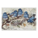 Search for vintage bird art Butterfly