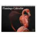 Search for flamingo calendars Animals
