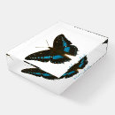 Search for butterfly paperweights Swallowtail