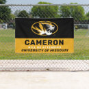 Search for mizzou crafts party Mu tigers