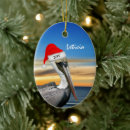 Search for pelican ornaments Beach