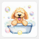 Search for goldendoodle stickers Puppy