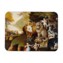 Search for american magnets Animal