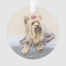 Search for yorkie pet memorials Puppy