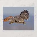 Search for hudson valley postcards Nature