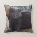 Search for russian gifts Feline