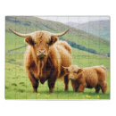 Search for highland cow puzzles Wildlife
