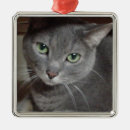 Search for russian blue cat ornaments Nature
