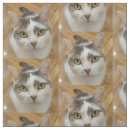 Search for photo fabric Image