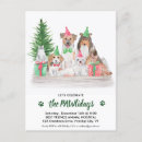 Search for dog and cat invitations Animal lovers