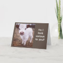 Search for funny animal birthday cards Cow
