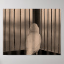 Search for black and white antique bird posters Animal