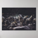 Search for wolf posters Nature