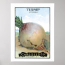 Search for vintage seed packets posters Advertising