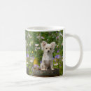 Search for chihuahua mugs dog toy games