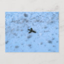 Search for new england christmas cards Photography