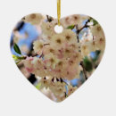 Search for cherry blossom ornaments Springtime