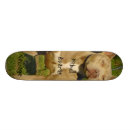 Search for dog skateboards Pitbull