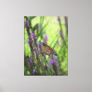 Search for butterfly canvas prints Orange