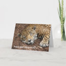 Search for retirement cat cards Funny