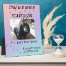 Search for tribute pet memorials Rainbow bridge tribute