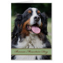 Search for bernese mountain dog cards Black