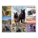 Search for farm calendars Puppy